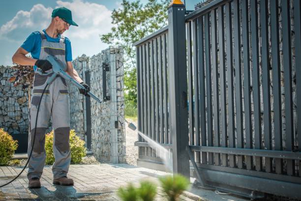 Best Solar Panel Cleaning  in Rice Lake, MN